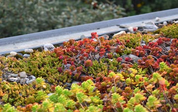 the cost of Dial Post green roof installation