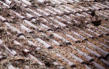 Dial Post roof cleaning companies