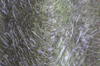 Dial Post fibreglass roof work